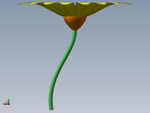 菊花后视缩略图