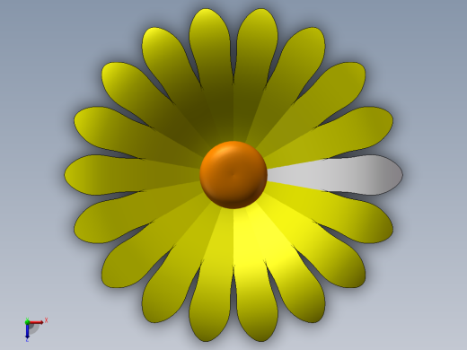 菊花俯视缩略图