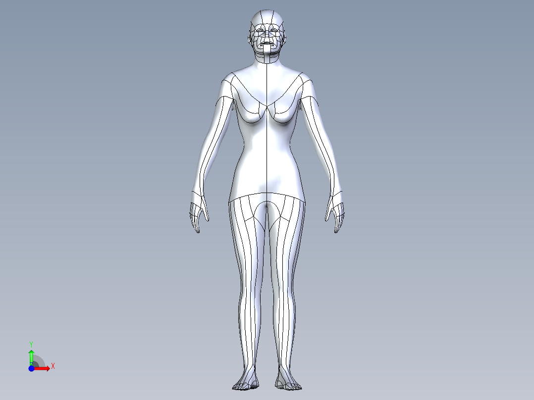 人体模型(140)前视图