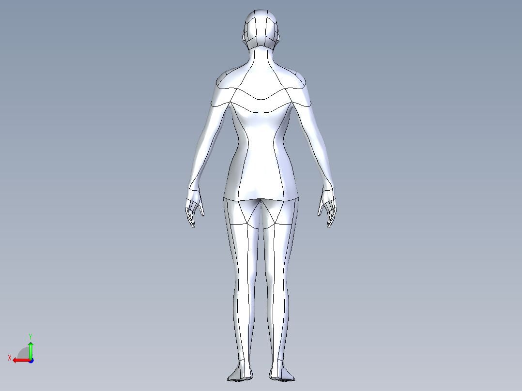 人体模型(140)后视图