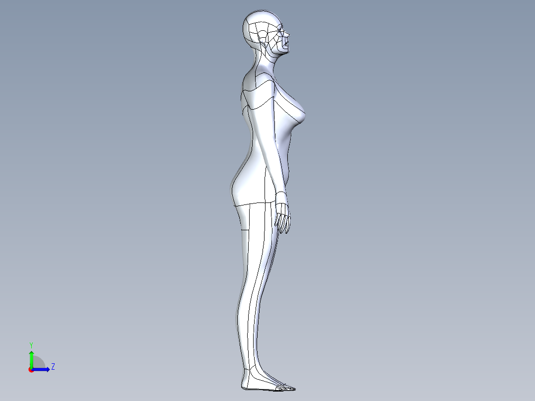 人体模型(140)左视图