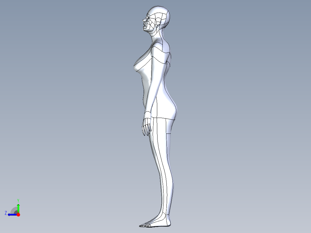 人体模型(140)右视图