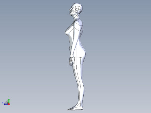 人体模型(140)右视缩略图