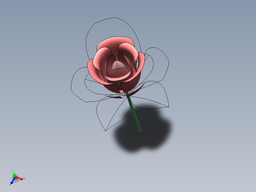 玫瑰花