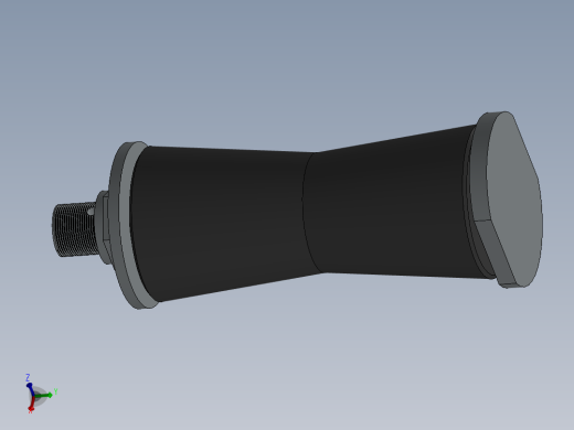 比萨格拉·华莱士