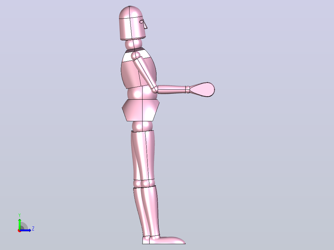人体模型左视图