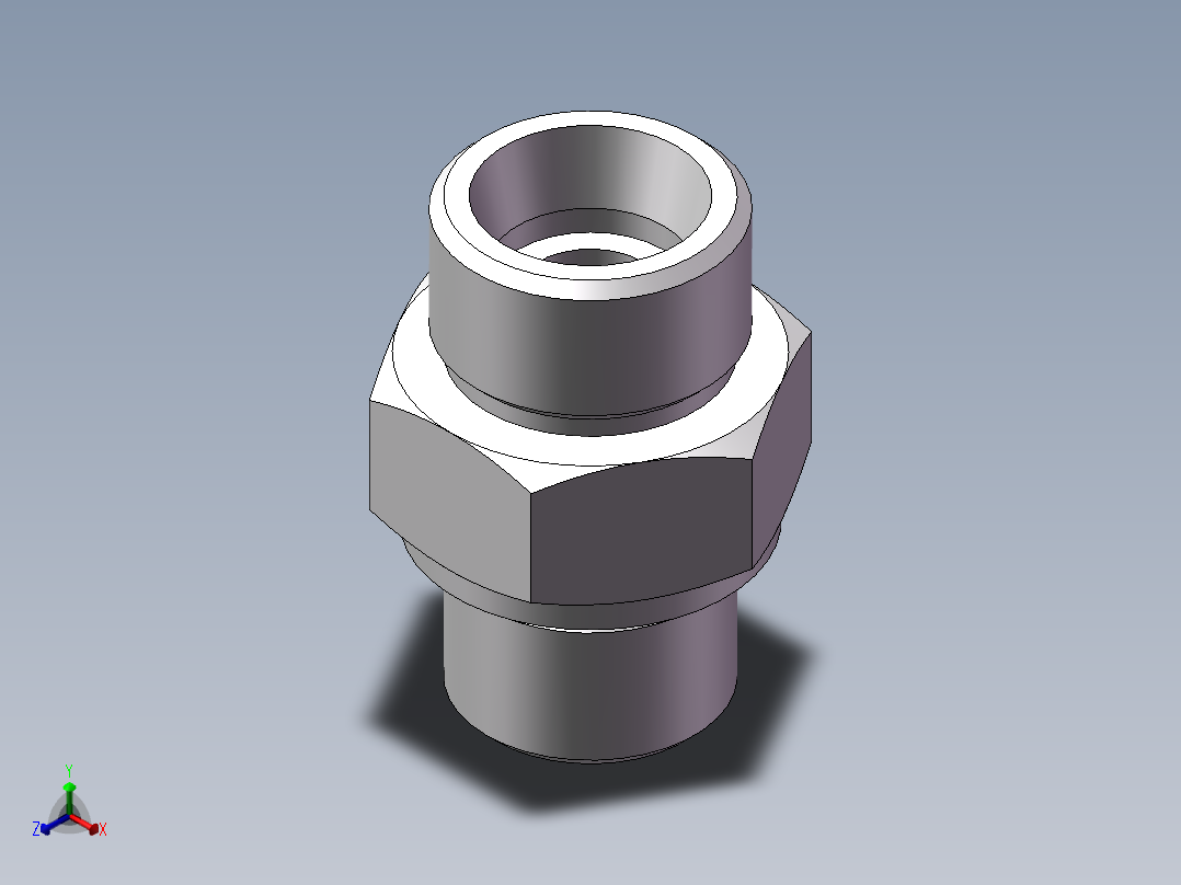 公制螺纹ED密封、1DM-22-20WD正等轴测图