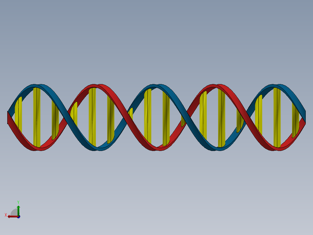 DNA双螺旋链后视图