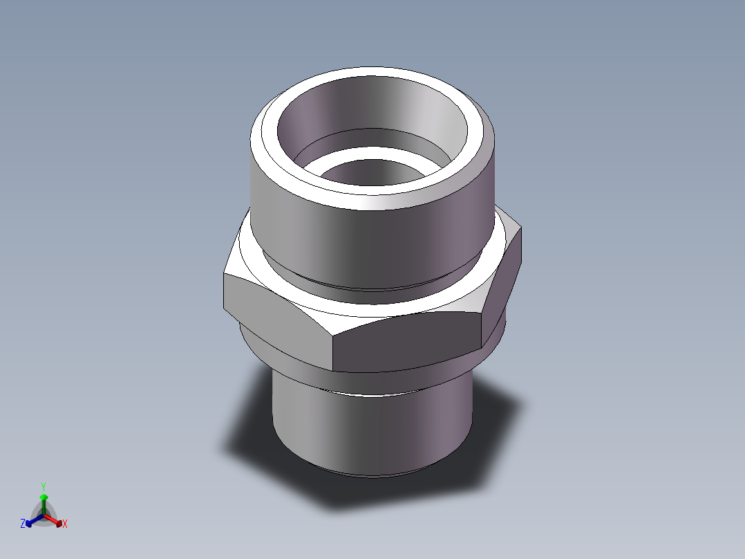 公制螺纹ED密封、1CM-22-18WD正等轴测图