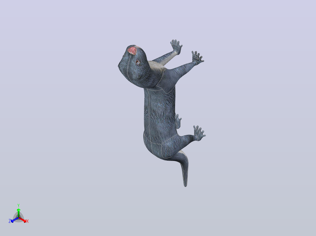獭主视图