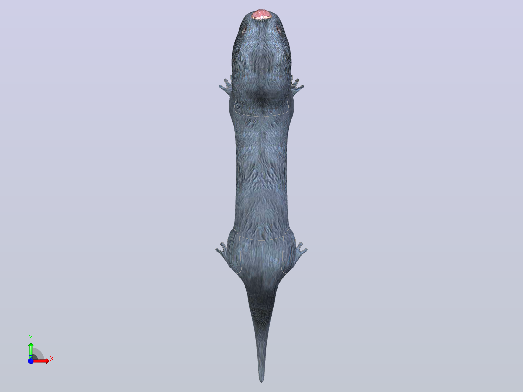 獭前视图