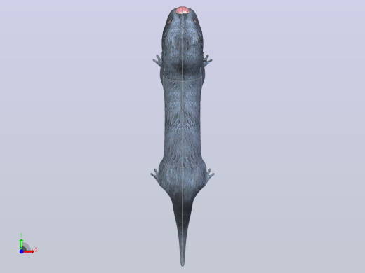 獭前视缩略图