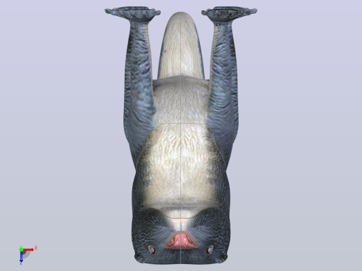 獭俯视缩略图