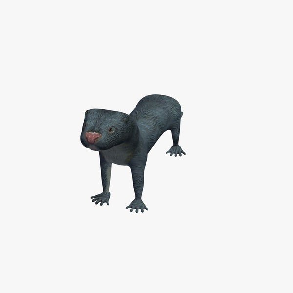 獭