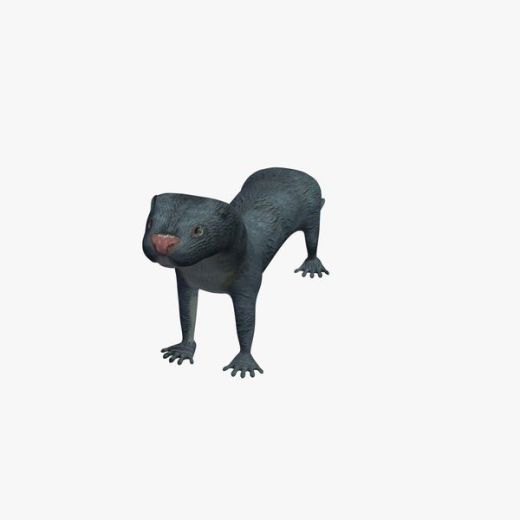 獭缩略图