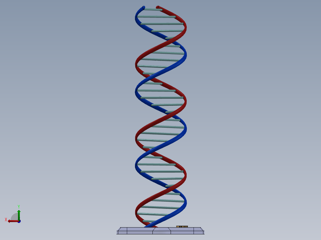 DNA基因染色体后视图