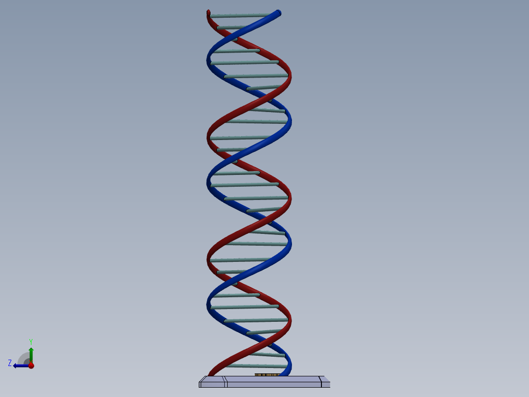 DNA基因染色体右视图