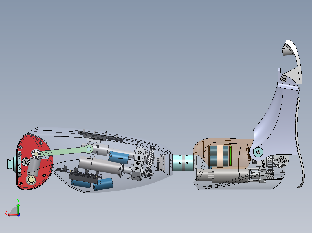 下肢假肢后视图