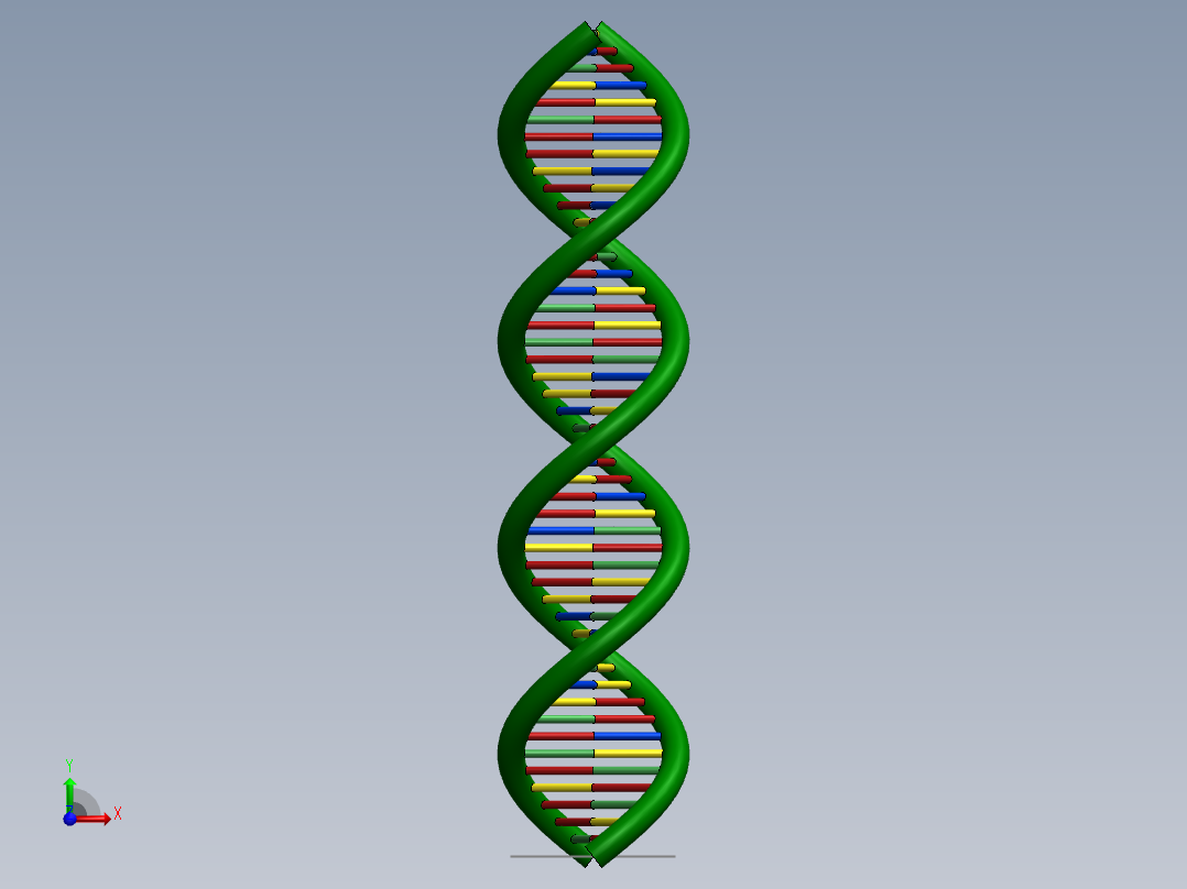 DNA基因染色体7前视图