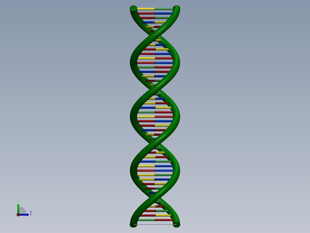 DNA基因染色体7左视图