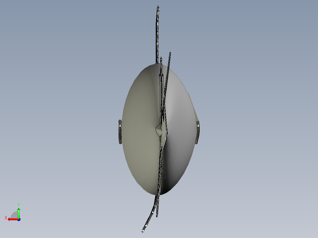 鲭鱼 金枪鱼后视图