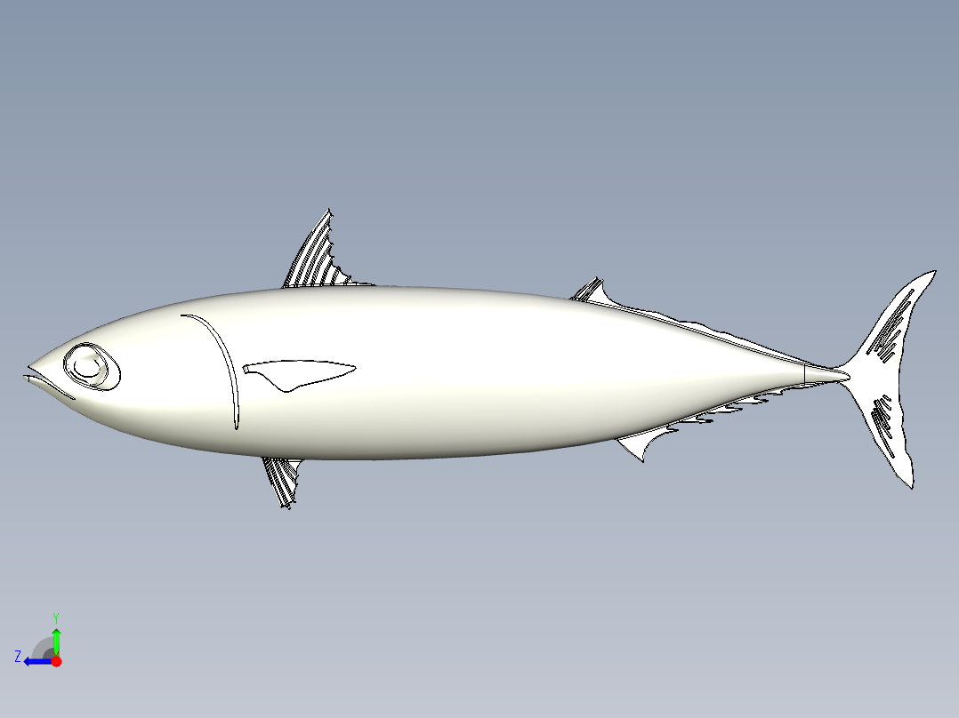 鲭鱼 金枪鱼右视图