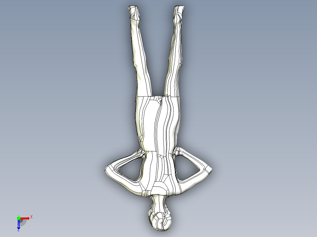 人体模型(115)俯视图