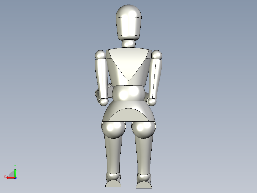 人体3D模型后视图