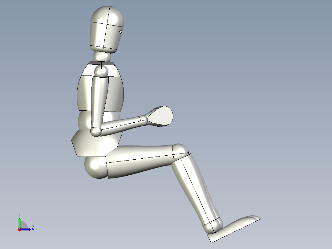 人体3D模型左视图