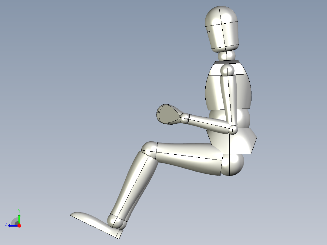 人体3D模型右视图