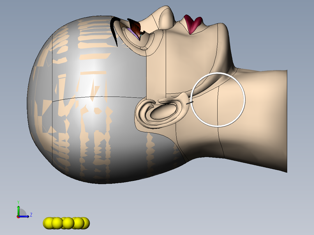 Solidworks美人头模型左视图
