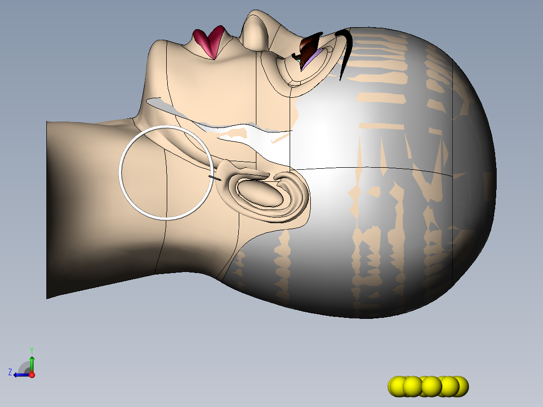 Solidworks美人头模型右视图