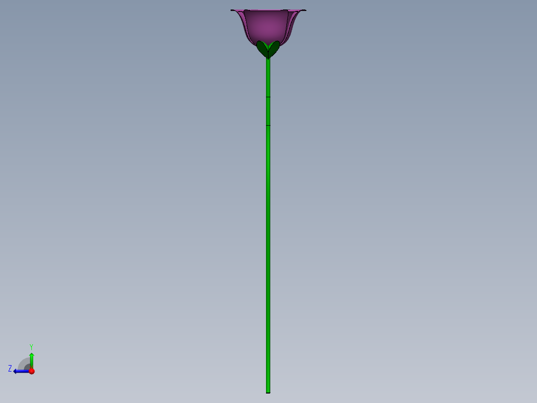 花花右视图