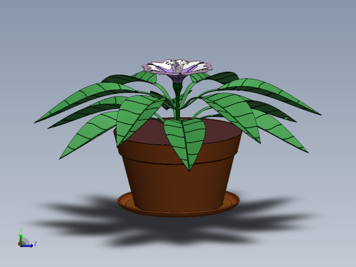 花精华开花植物
