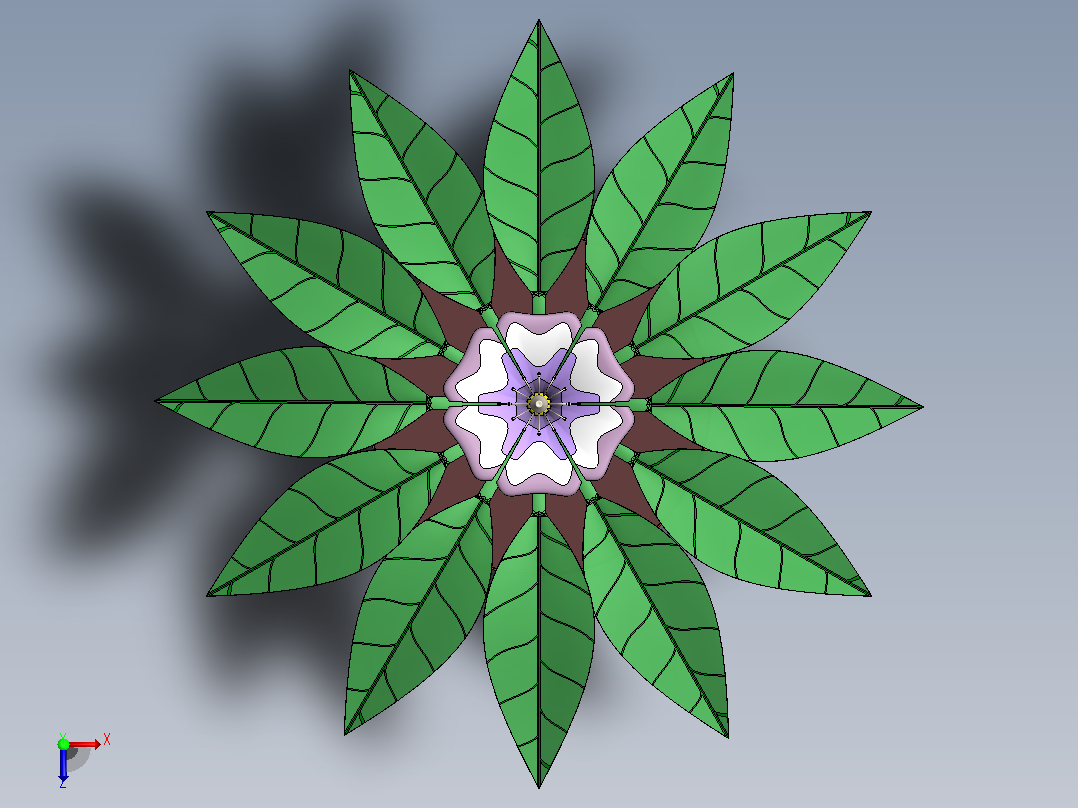 花精华开花植物俯视图