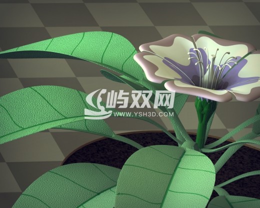 花精华开花植物缩略图