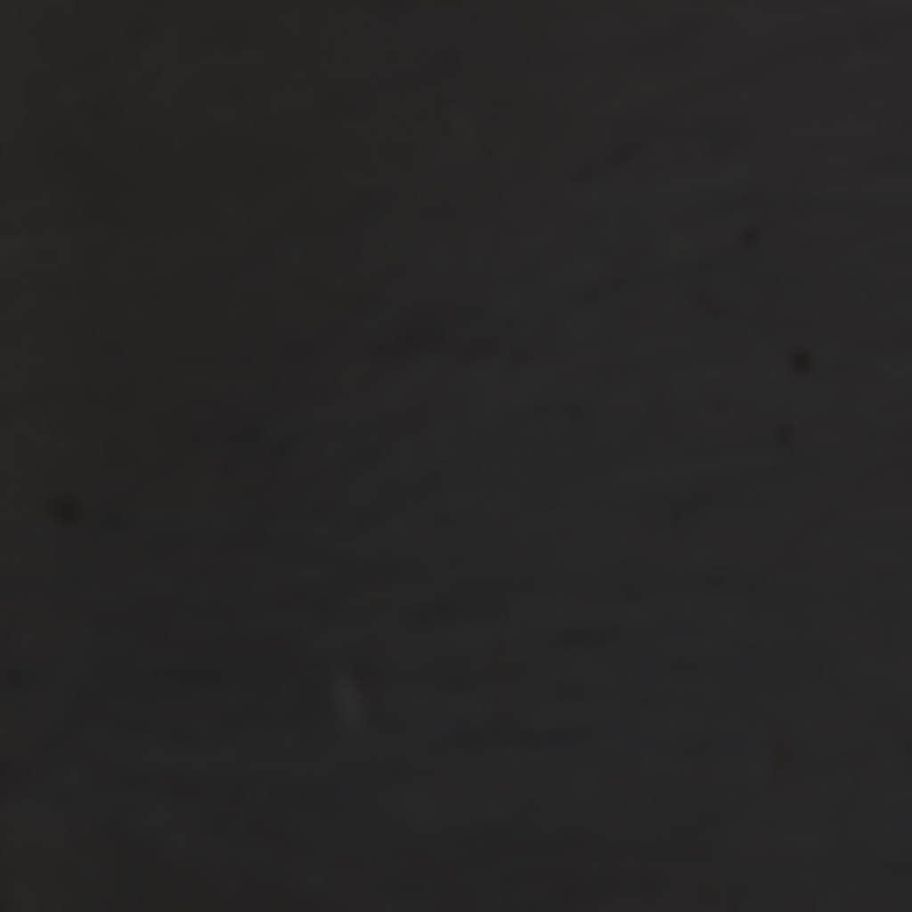 带鸽子的公园长椅