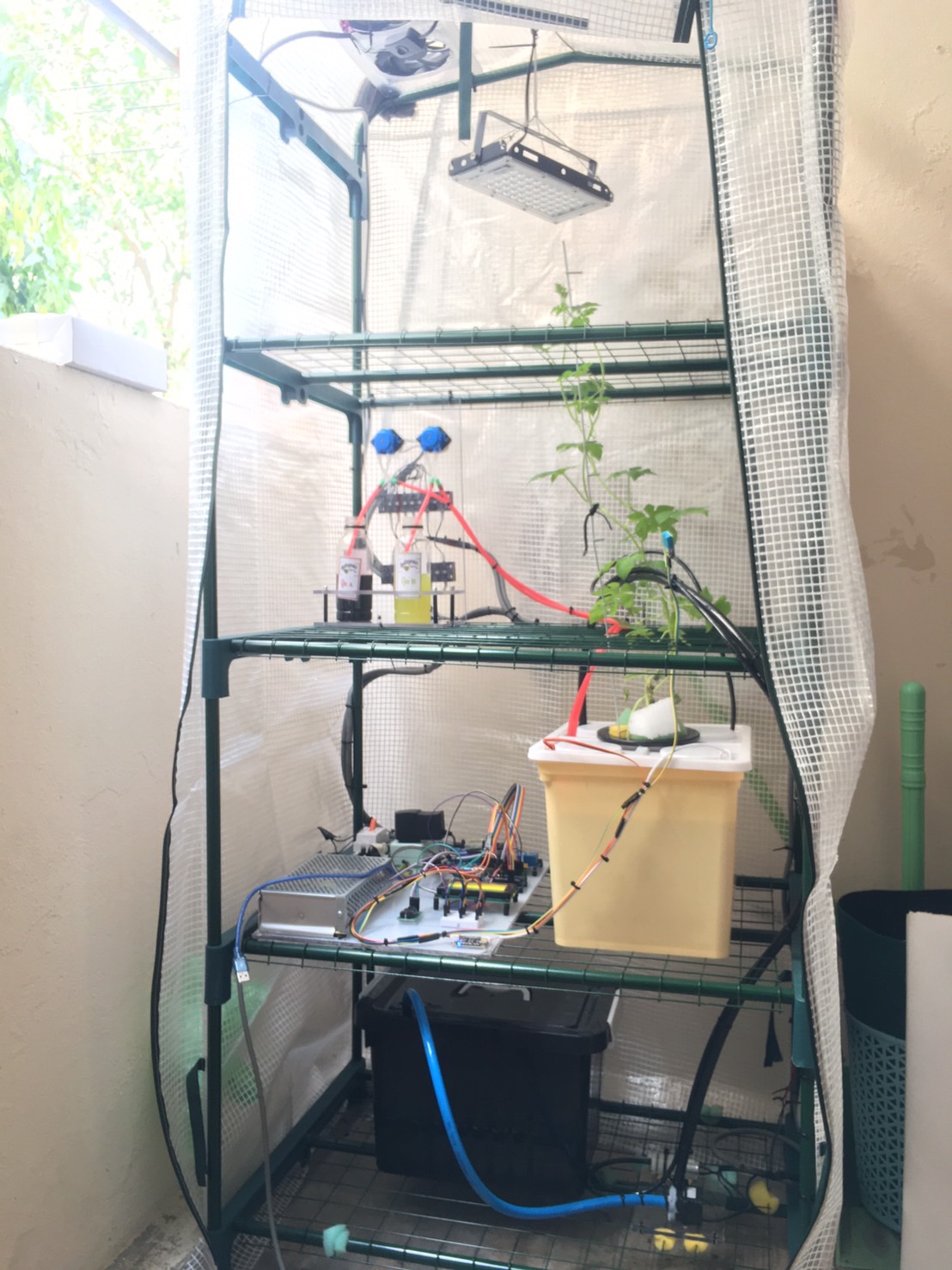 智能迷你温室水培植物