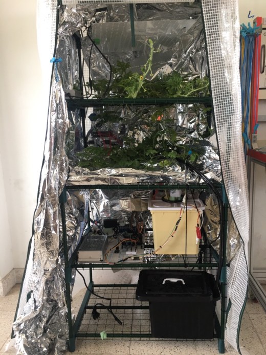 智能迷你温室水培植物缩略图