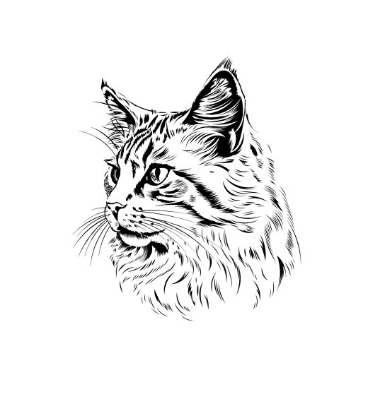 cat-猫头像缩略图