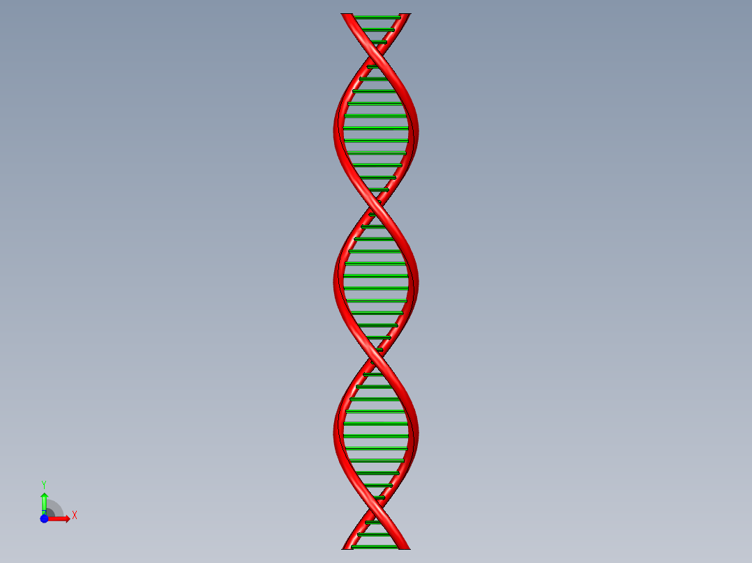 DNA基因染色体10前视图