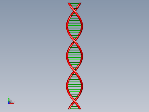 DNA基因染色体10前视缩略图