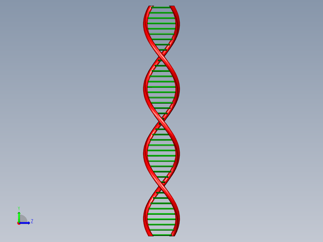 DNA基因染色体10左视图