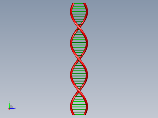 DNA基因染色体10左视缩略图