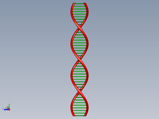 DNA基因染色体10右视缩略图