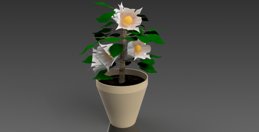盆栽植物 (2)缩略图