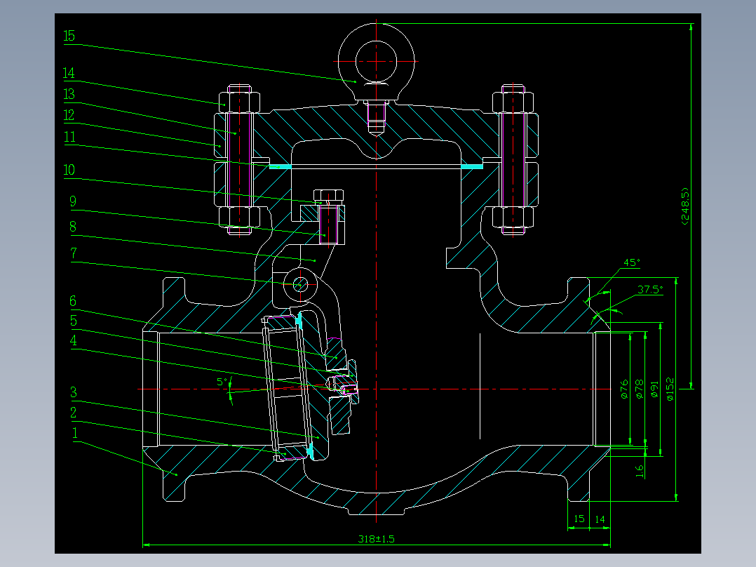 止回阀2寸总装配图