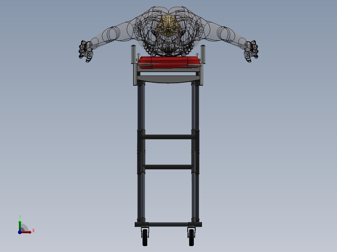 骨骼、人体骨骼(16)前视图