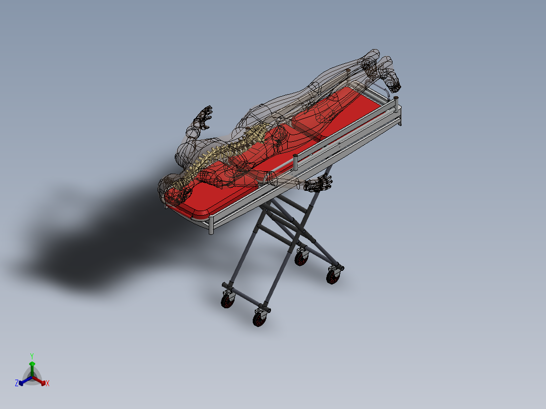 骨骼、人体骨骼(16)正等轴测图