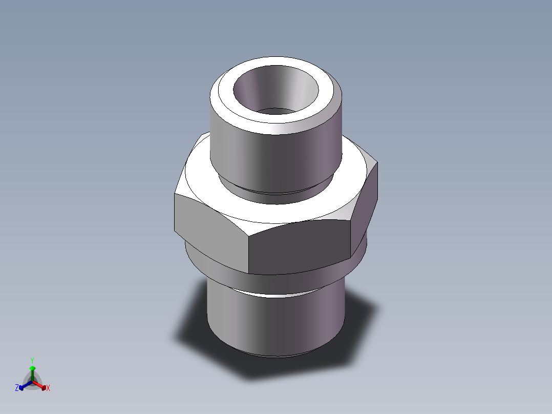 英制管螺纹ED密封、1DB-16-06WD正等轴测图